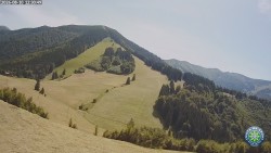 Południowa zieleń