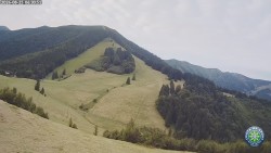 Południowa zieleń