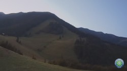 Mittagsgrün