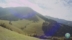 Mittagsgrün