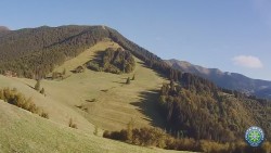 Mittagsgrün