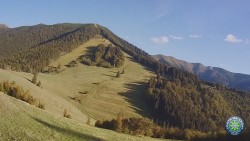 Mittagsgrün