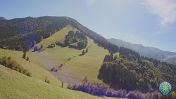 Mittagsgrün