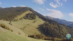 Mittagsgrün