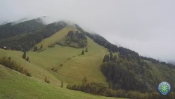 Południowa zieleń