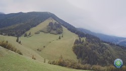 Południowa zieleń