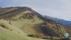 Południowa zieleń
