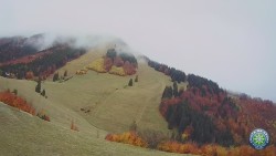 Mittagsgrün