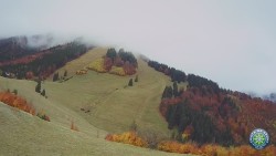 Mittagsgrün