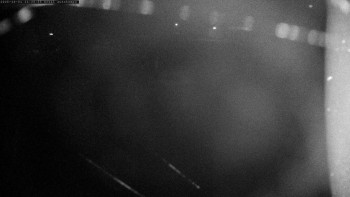 Snímek    31.10.2025 v 20:30