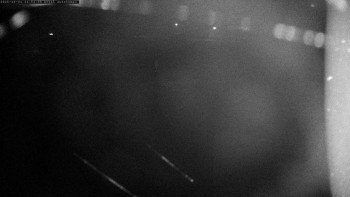 Snímek    31.10.2025 v 21:00