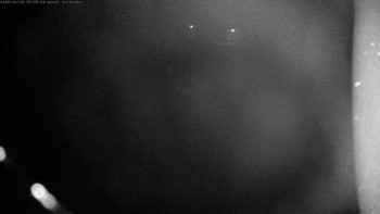 Snímek 14.11.2025 v 03:00