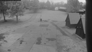 Autokempink Strážnice - Areál kempu - 15.12.2025 v 16:00 Autokempink Strážnice - Areál kempu - 15.12.2025 v 16:00