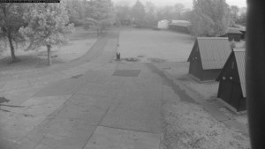 Autokempink Strážnice - Areál kempu - 17.12.2025 v 07:30 Autokempink Strážnice - Areál kempu - 17.12.2025 v 07:30