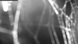 Areál kempu