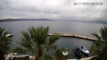 Snímek    3.11.2025 v 08:45