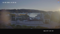 Vrulje
