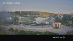 Vrulje