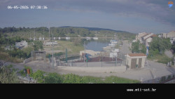 Vrulje