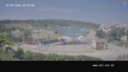 Vrulje
