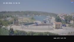 Vrulje