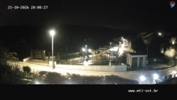 Vrulje