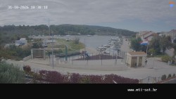 Vrulje