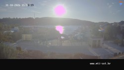Vrulje