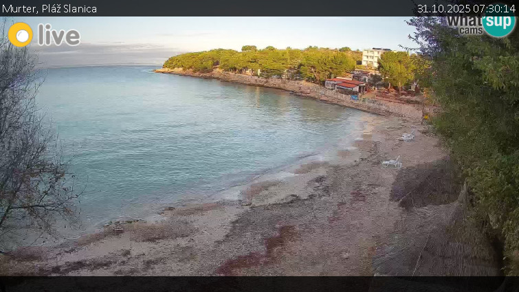 Murter - Pláž Slanica - 31.10.2025 v 07:30 Murter - Pláž Slanica - 31.10.2025 v 07:30