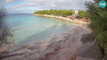 Snímek    31.10.2025 v 08:30