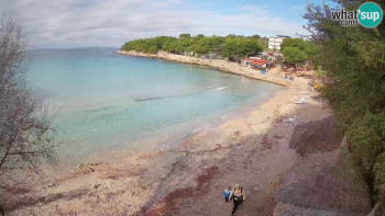 Snímek    31.10.2025 v 09:30