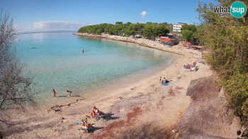 Snímek    1.11.2025 v 12:00