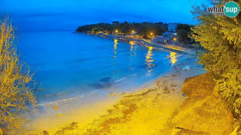 Snímek    3.11.2025 v 06:15