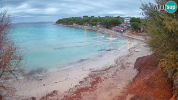 Snímek    3.11.2025 v 06:45