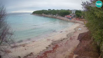 Snímek    3.11.2025 v 08:15