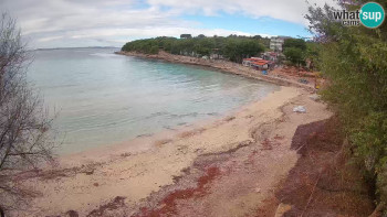 Snímek    3.11.2025 v 10:15