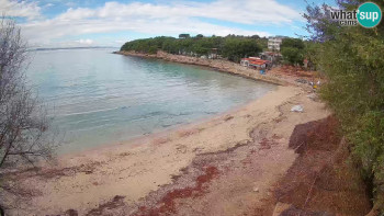 Snímek    3.11.2025 v 10:45