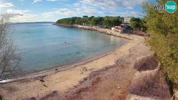 Snímek    3.11.2025 v 15:30