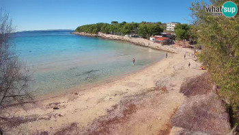 Snímek    4.11.2025 v 13:30