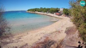 Snímek 5.11.2025 v 11:30