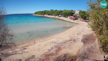 Snímek 5.11.2025 v 12:00