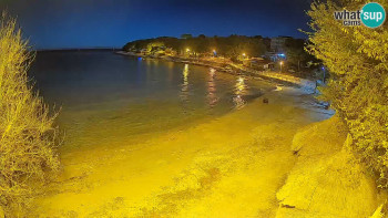 Snímek 5.11.2025 v 19:00