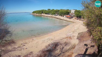 Snímek 6.11.2025 v 10:45