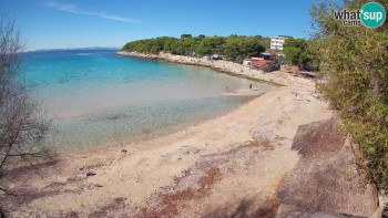 Snímek 6.11.2025 v 12:15