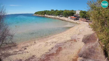 Snímek 6.11.2025 v 13:00