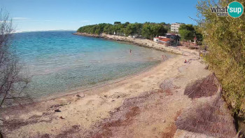 Snímek 6.11.2025 v 14:30