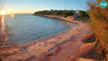 Snímek 6.11.2025 v 16:30