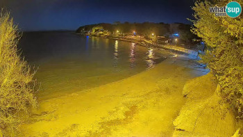 Snímek 6.11.2025 v 19:15