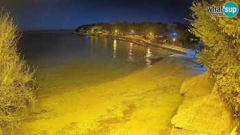 Snímek 6.11.2025 v 19:45