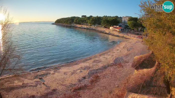 Snímek 7.11.2025 v 16:15